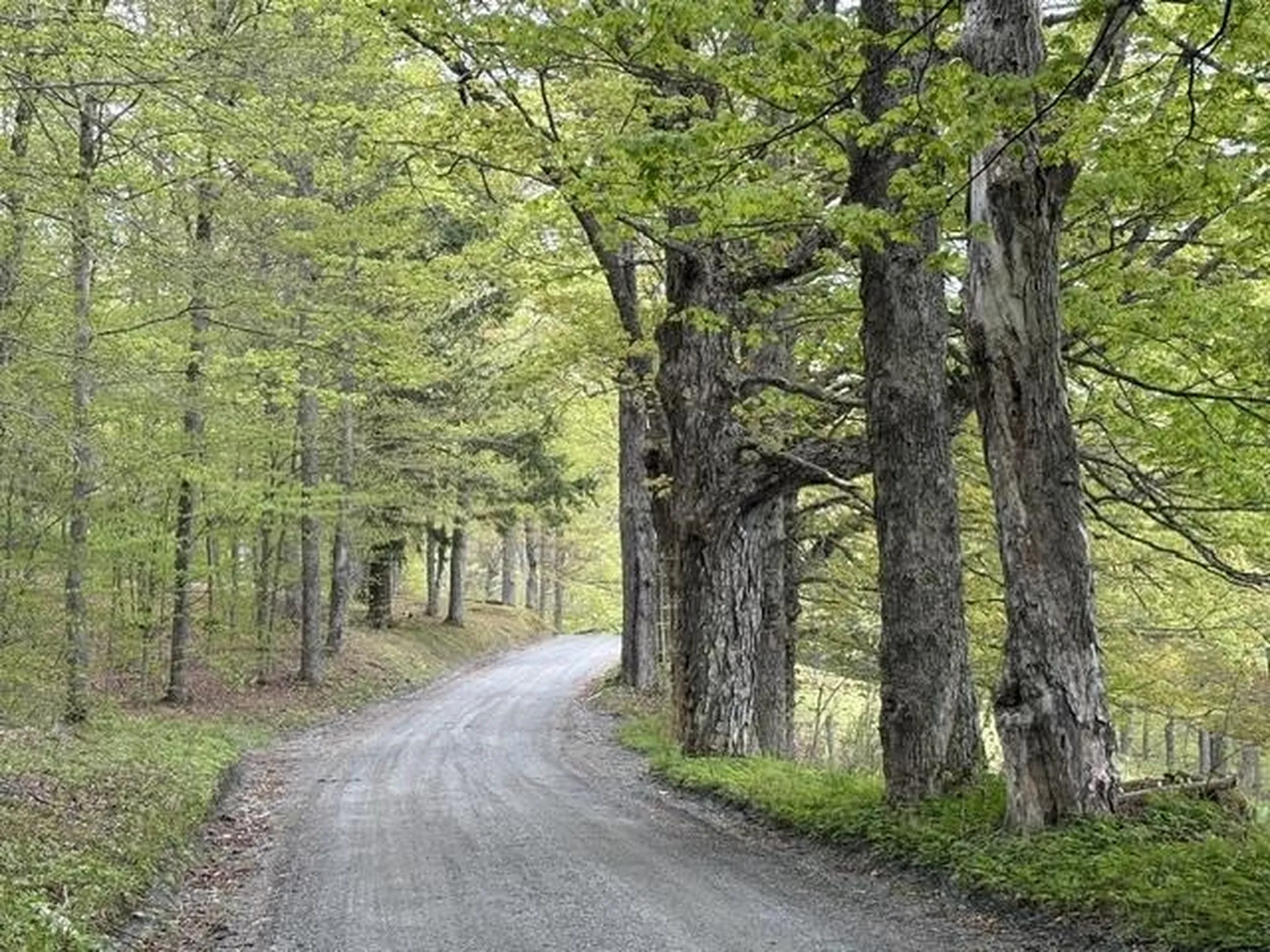 199 Arthur Morgan Road Woodstock VT 05091