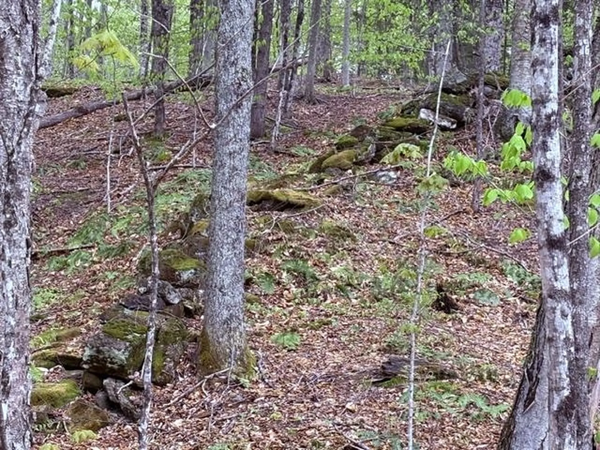 199 Arthur Morgan Road Woodstock VT 05091
