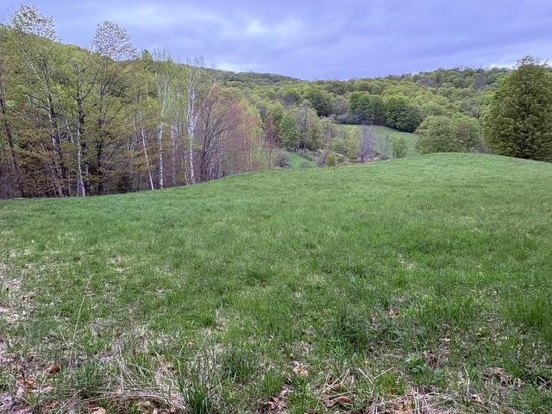 199 Arthur Morgan Road Woodstock VT 05091