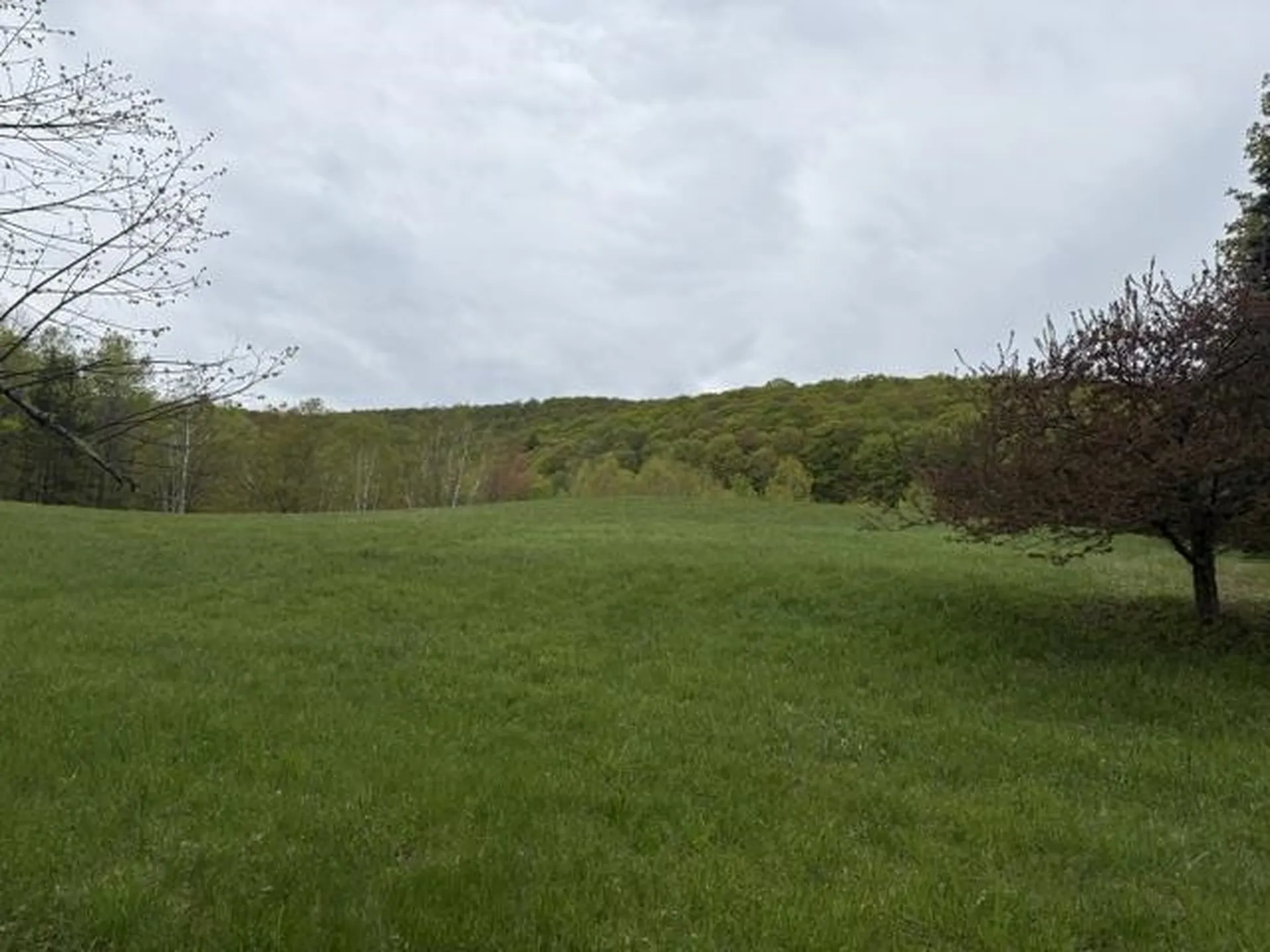 199 Arthur Morgan Road Woodstock VT 05091