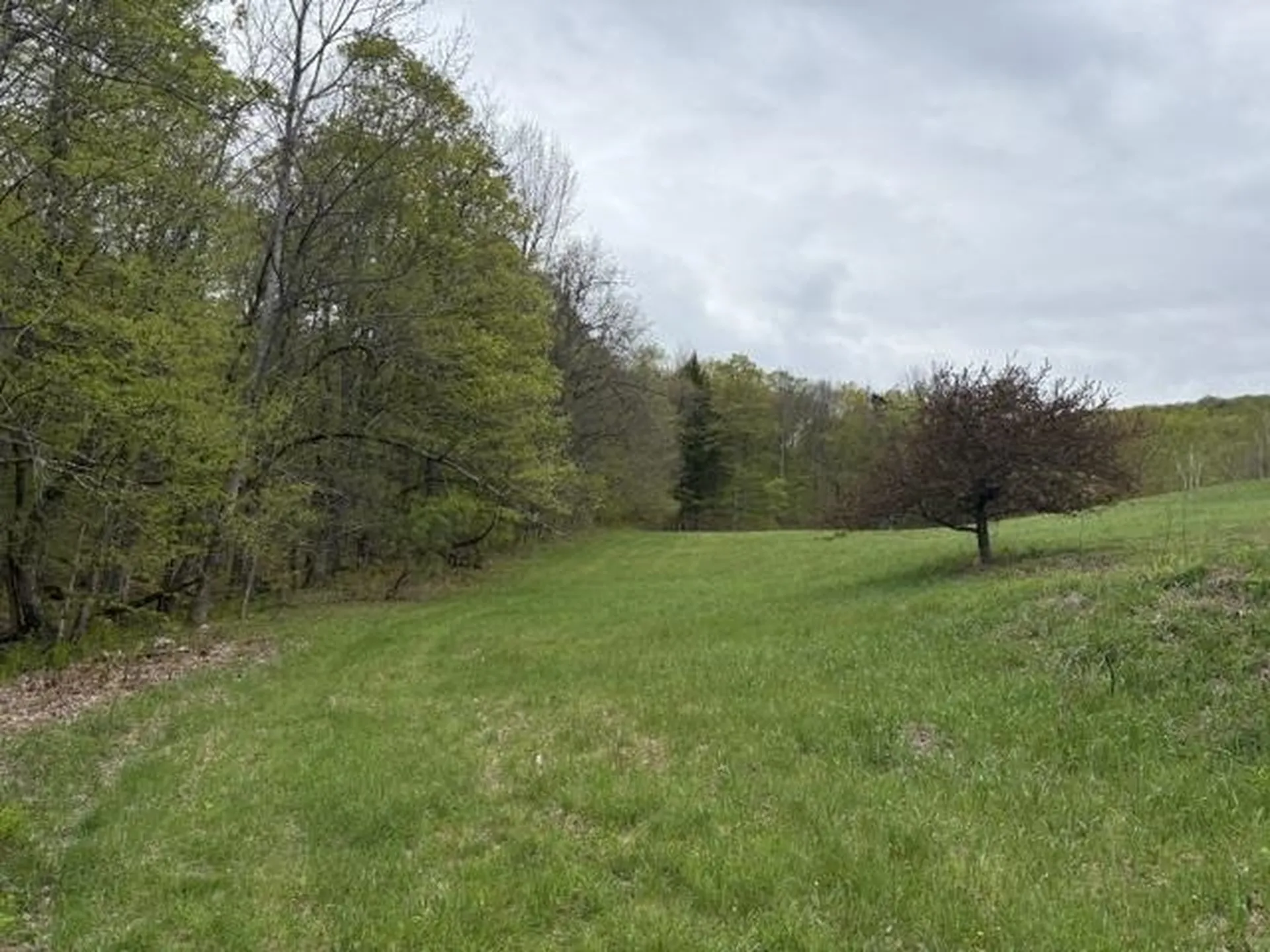 199 Arthur Morgan Road Woodstock VT 05091