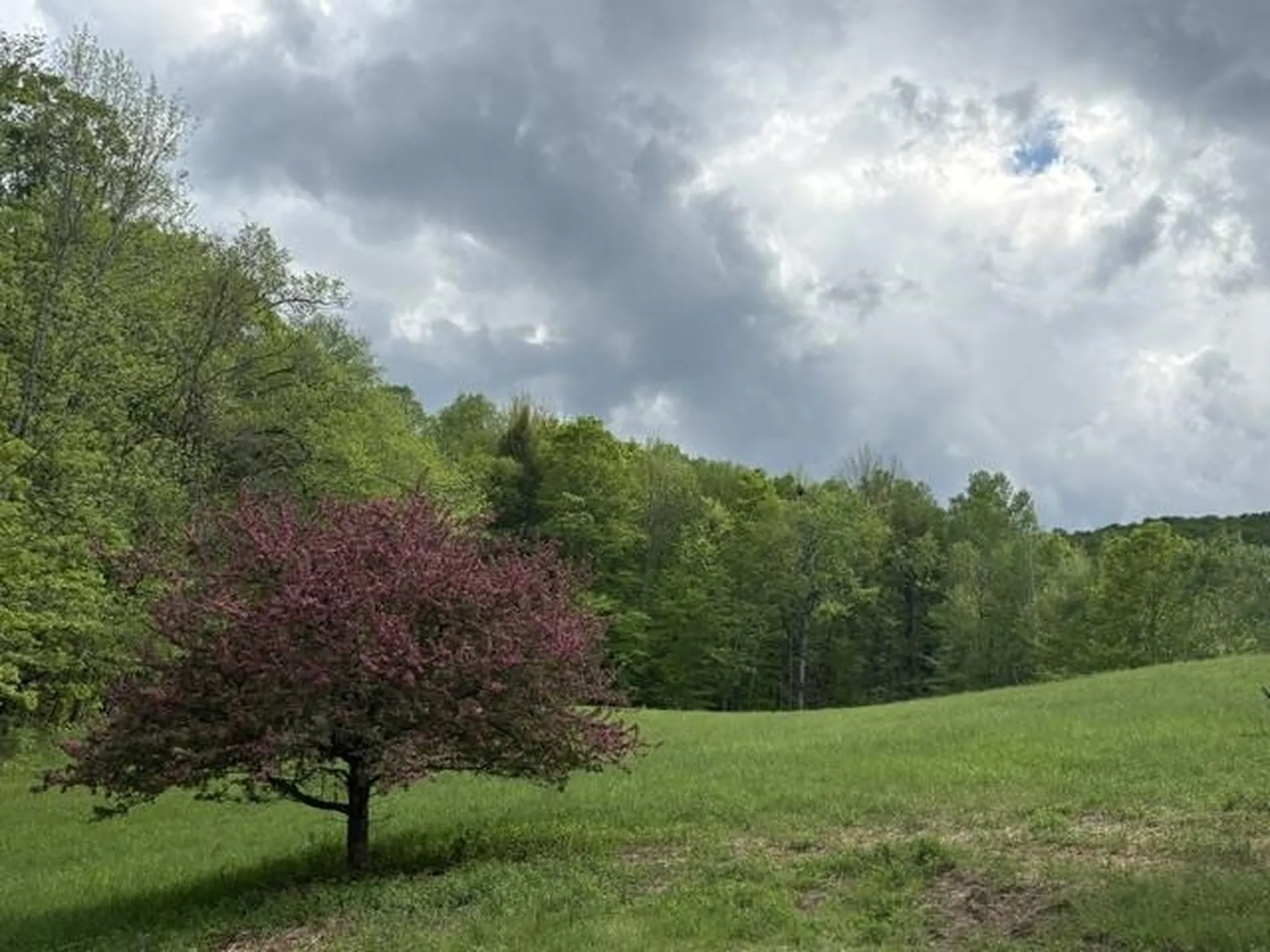 199 Arthur Morgan Road Woodstock VT 05091