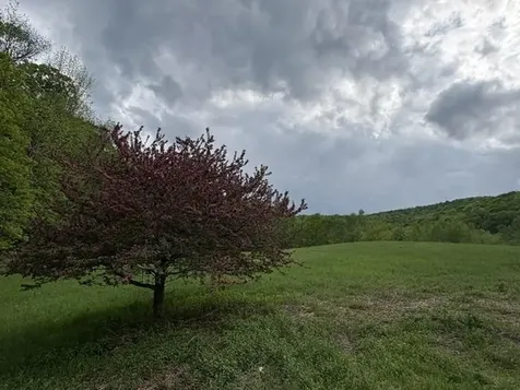 199 Arthur Morgan Road Woodstock VT 05091