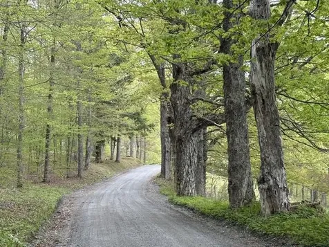 199 Arthur Morgan Road Woodstock VT 05091