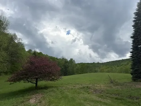 199 Arthur Morgan Road Woodstock VT 05091