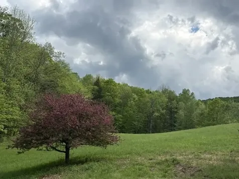 199 Arthur Morgan Road Woodstock VT 05091