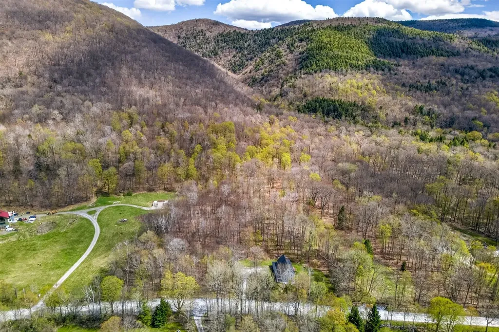 848 Mad Tom Road Dorset VT 05253