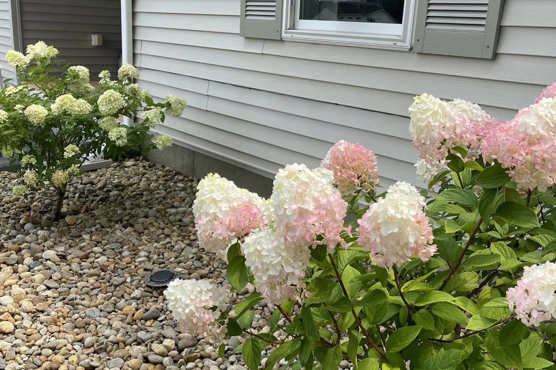 4 Wallace Drive Merrimack NH 03054
