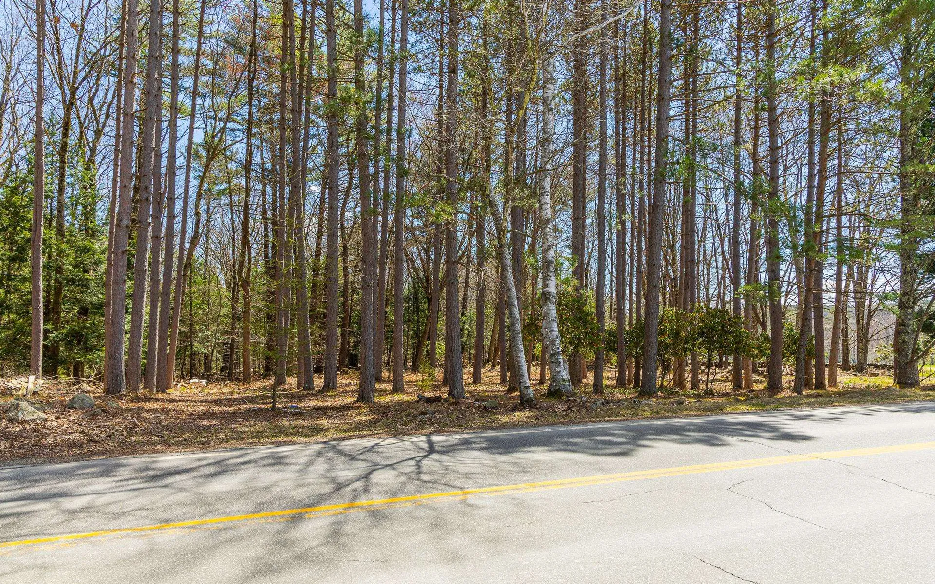 00 Forest Road Alstead NH 03602