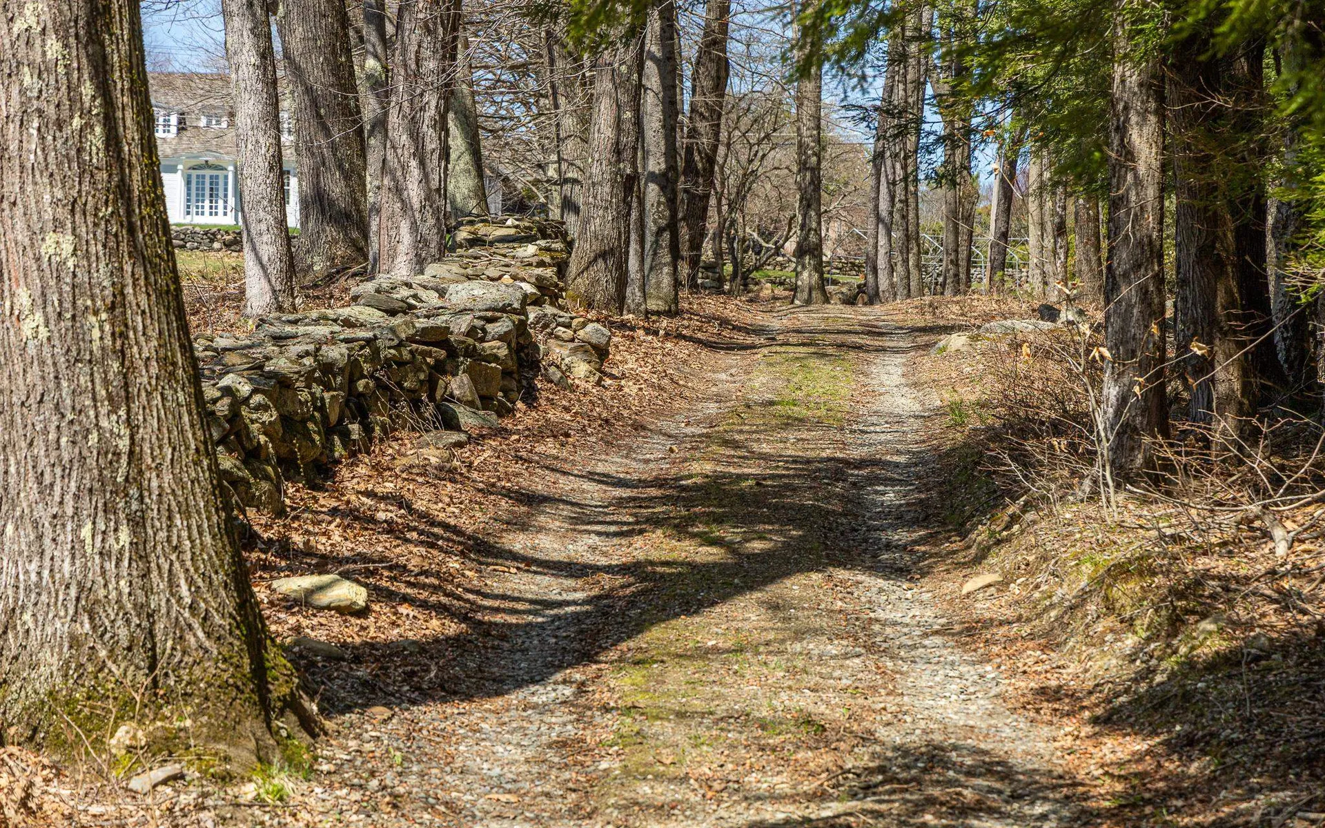 00 Forest Road Alstead NH 03602