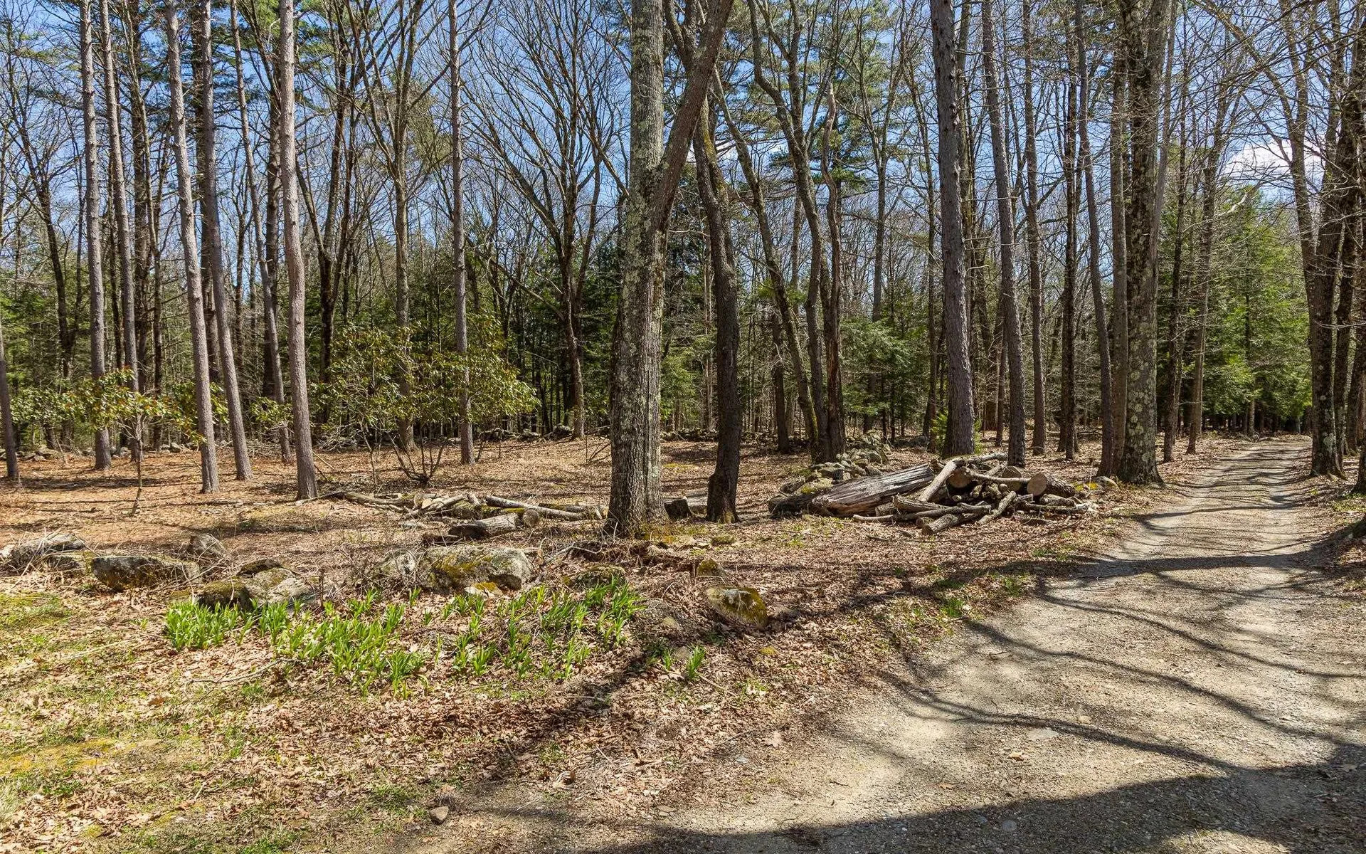 00 Forest Road Alstead NH 03602