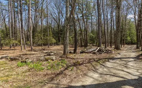 00 Forest Road Alstead NH 03602