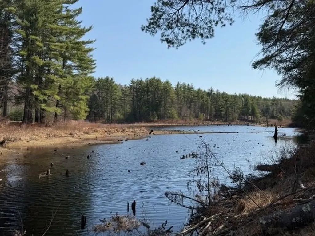 117 Ruonala Road Milford NH 03055