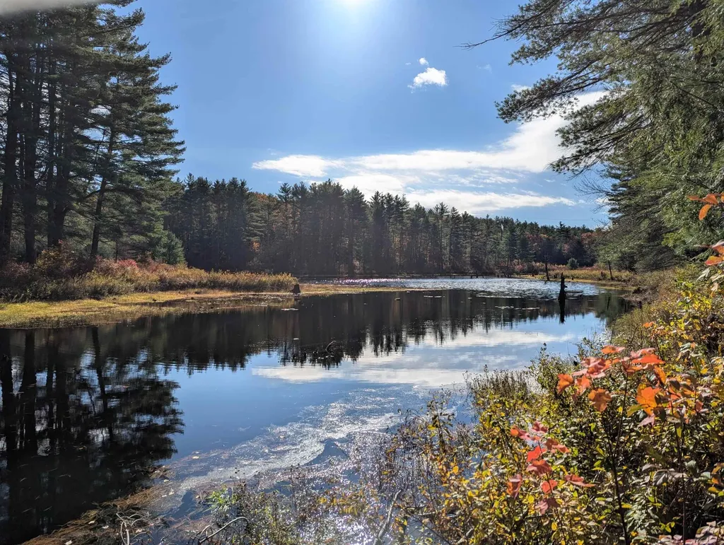 117 Ruonala Road Milford NH 03055
