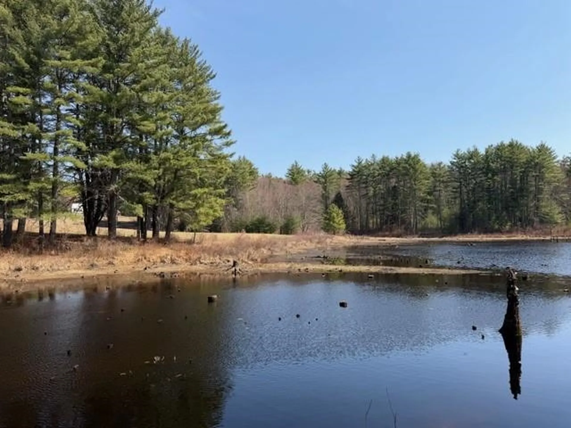 117 Ruonala Road Milford NH 03055