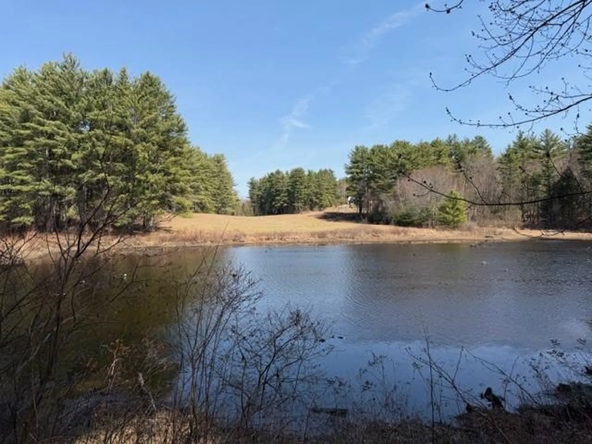 117 Ruonala Road Milford NH 03055