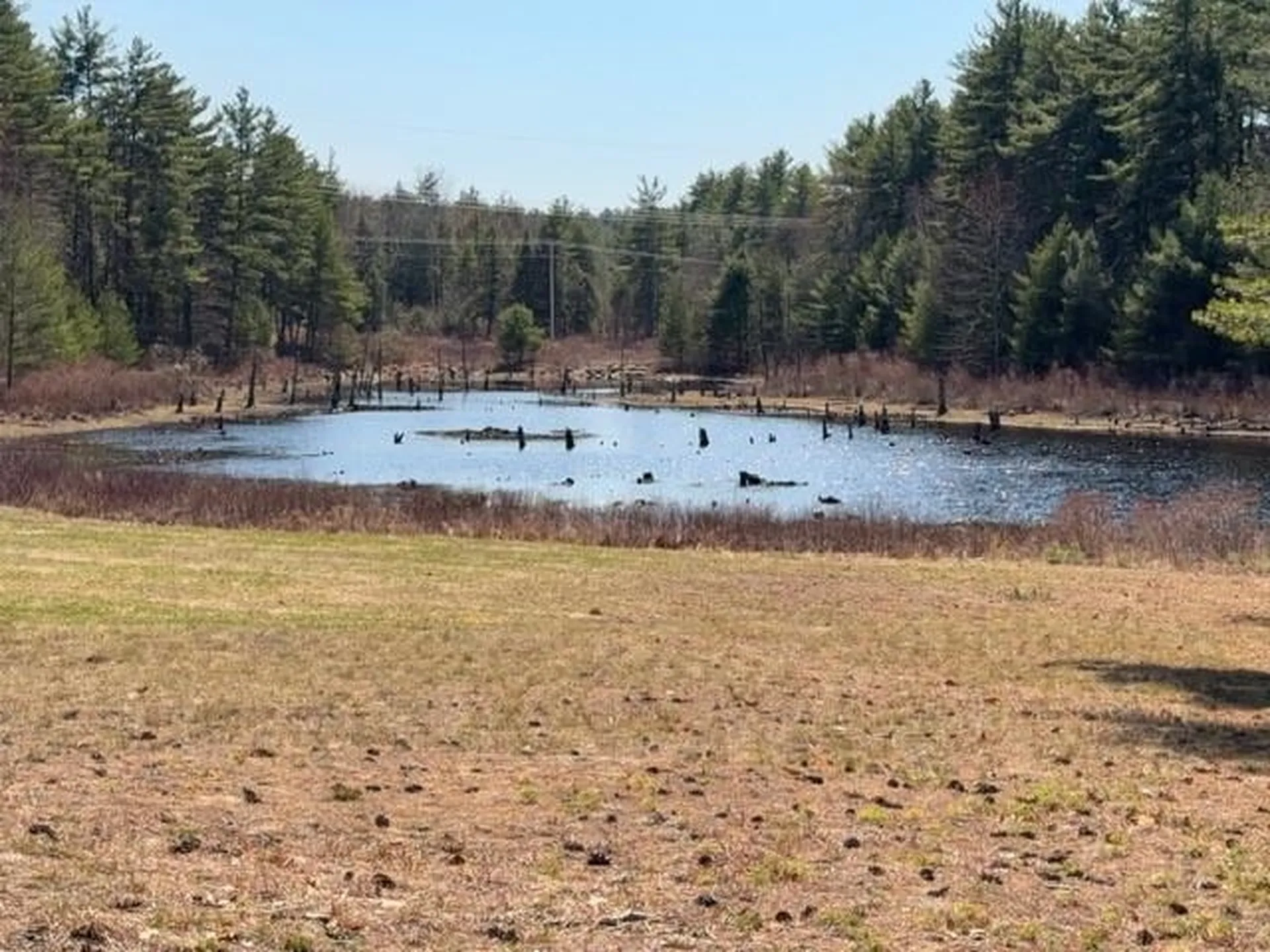 117 Ruonala Road Milford NH 03055
