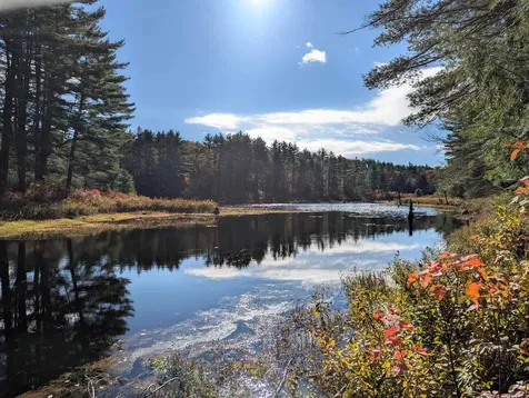 117 Ruonala Road Milford NH 03055