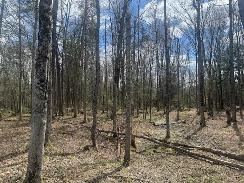 599 Collinsville Road Craftsbury VT 05826