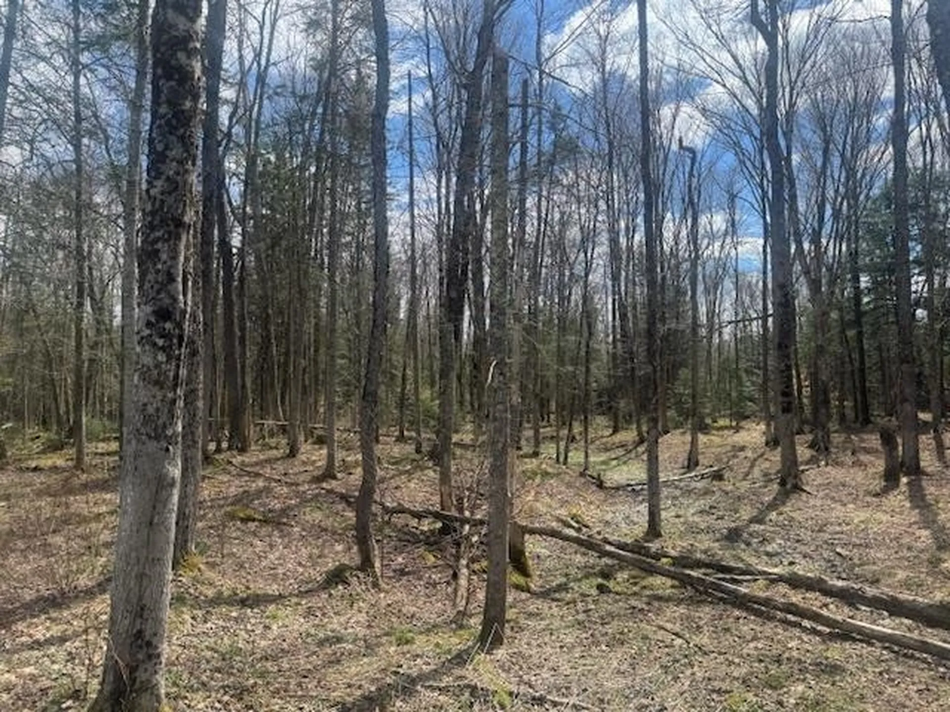 599 Collinsville Road Craftsbury VT 05826