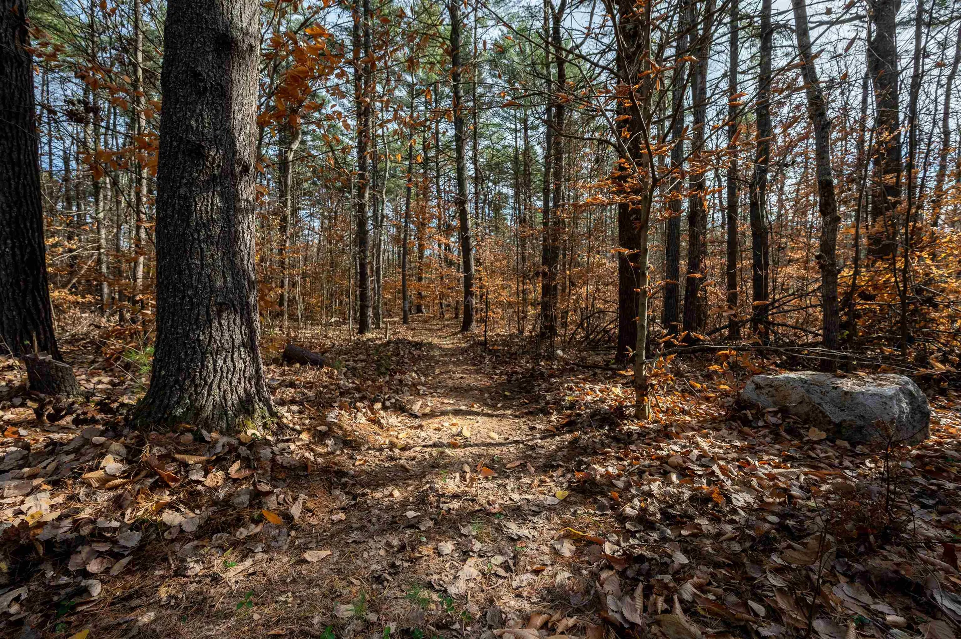 135 Pine River Path Effingham NH 03882