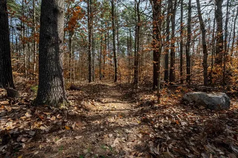 135 Pine River Path Effingham NH 03882
