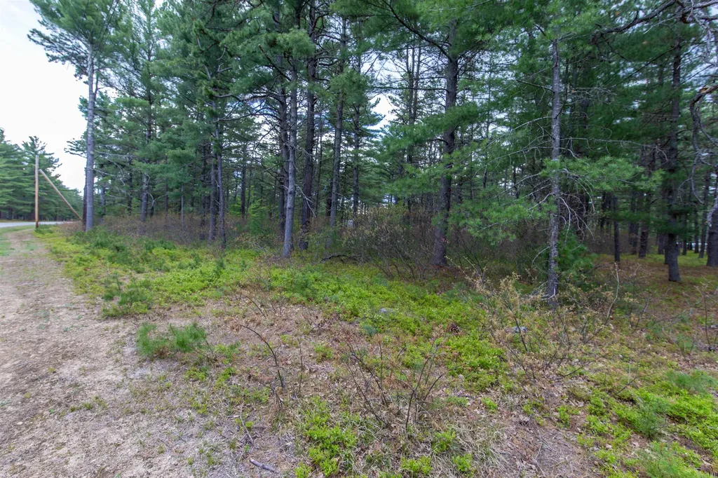 36 Logan Way Ossipee NH 03890