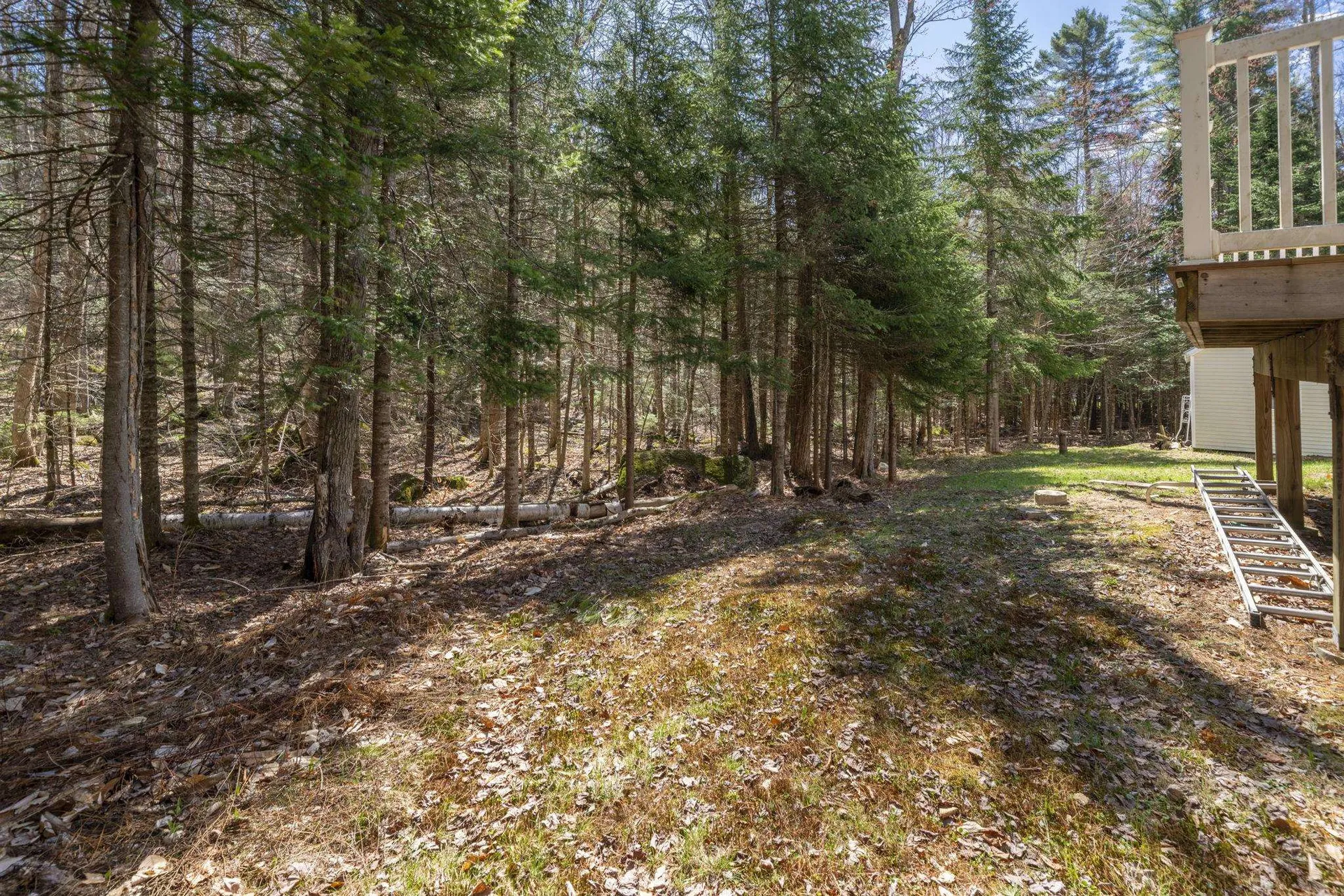 47 Harding Road Washington NH 03280