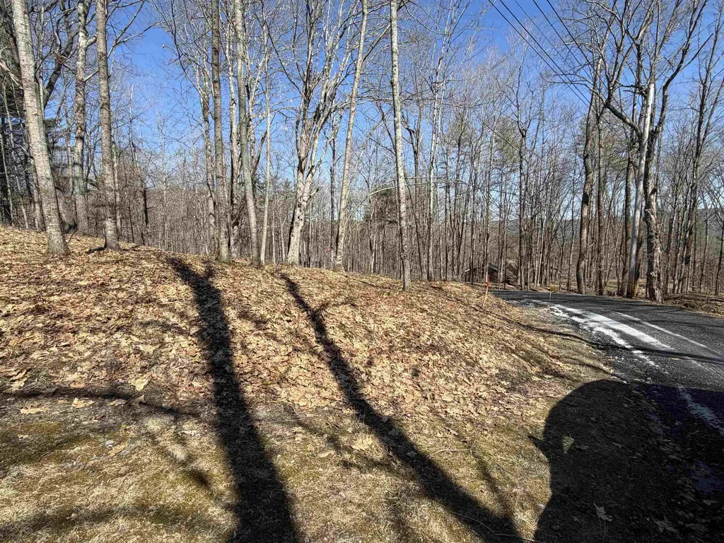0 Oak Ridge Way Woodstock VT 05091
