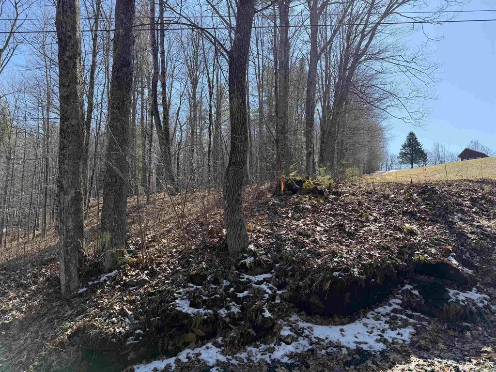 0 Oak Ridge Way Woodstock VT 05091
