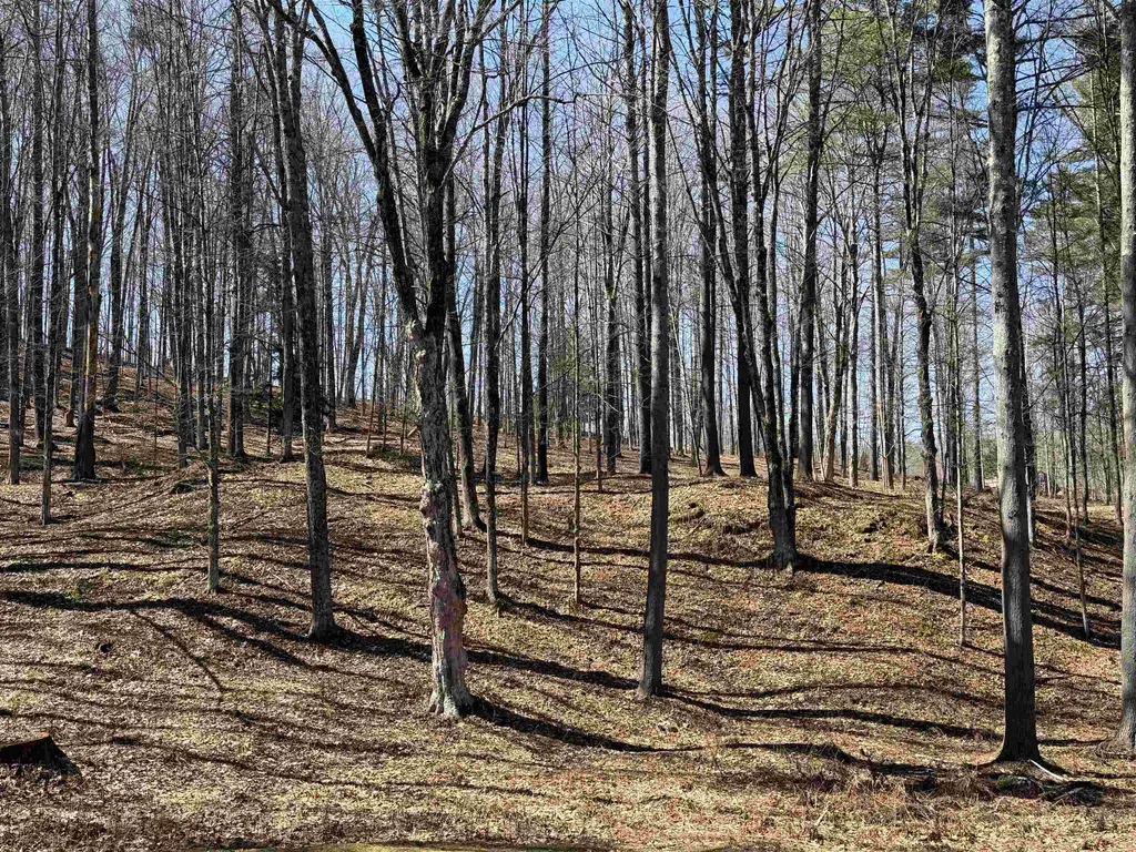0 Oak Ridge Way Woodstock VT 05091