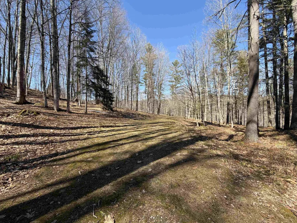 0 Oak Ridge Way Woodstock VT 05091