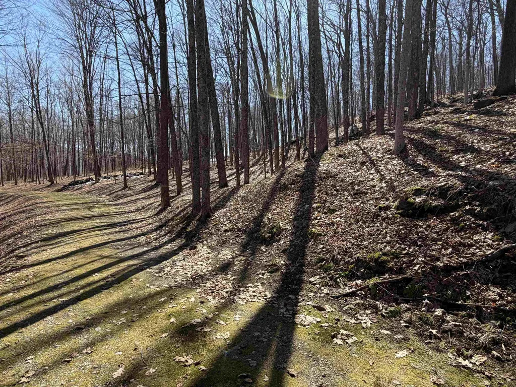 0 Oak Ridge Way Woodstock VT 05091