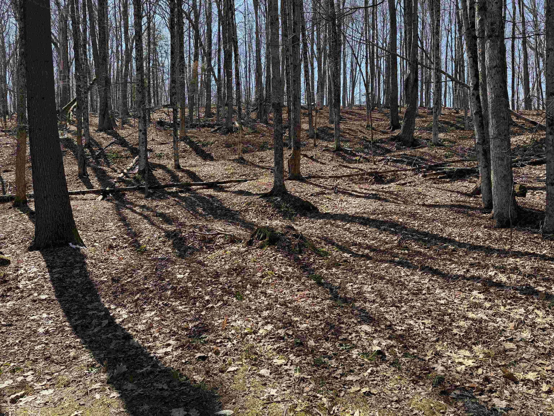 0 Oak Ridge Way Woodstock VT 05091
