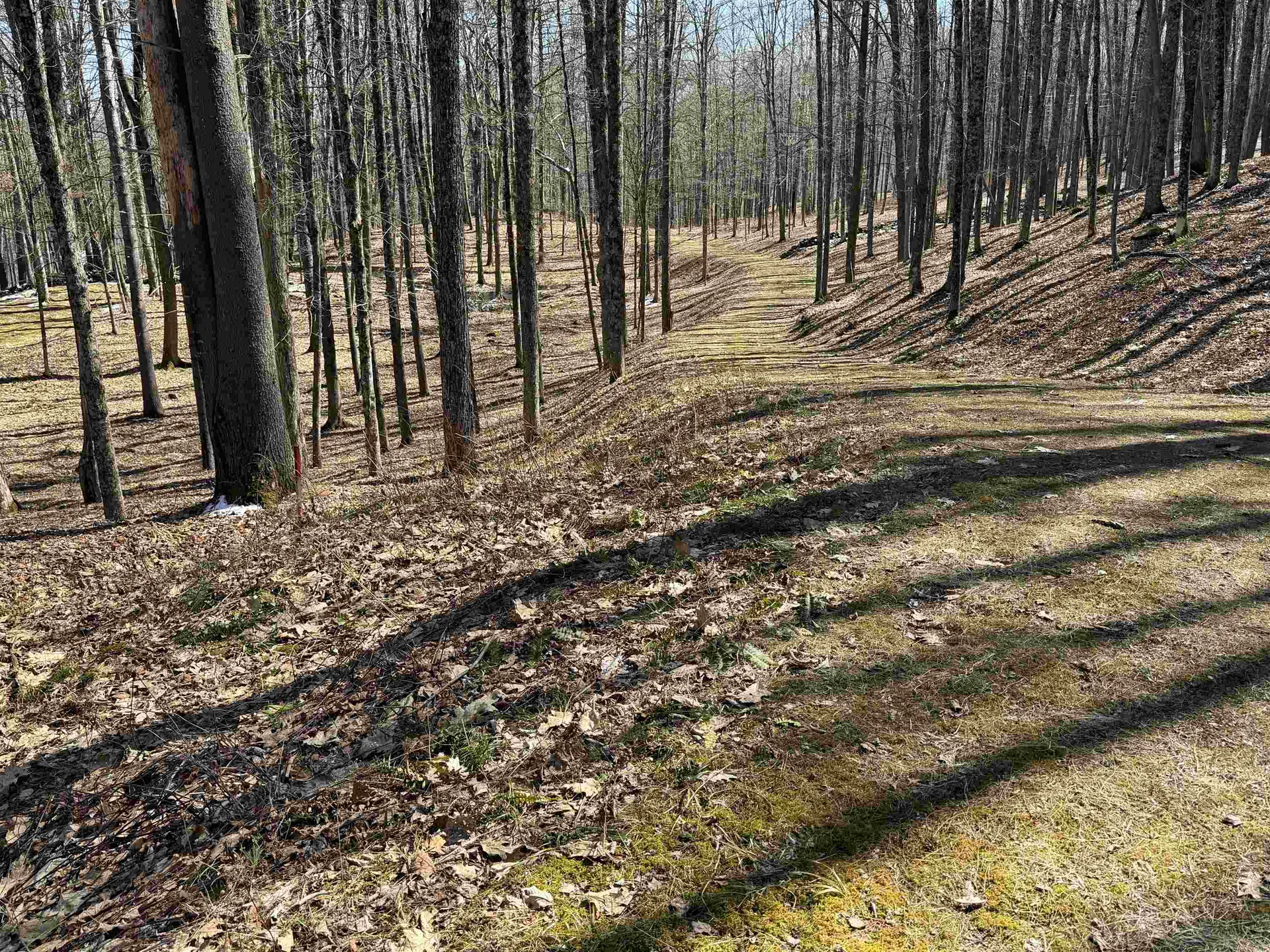 0 Oak Ridge Way Woodstock VT 05091