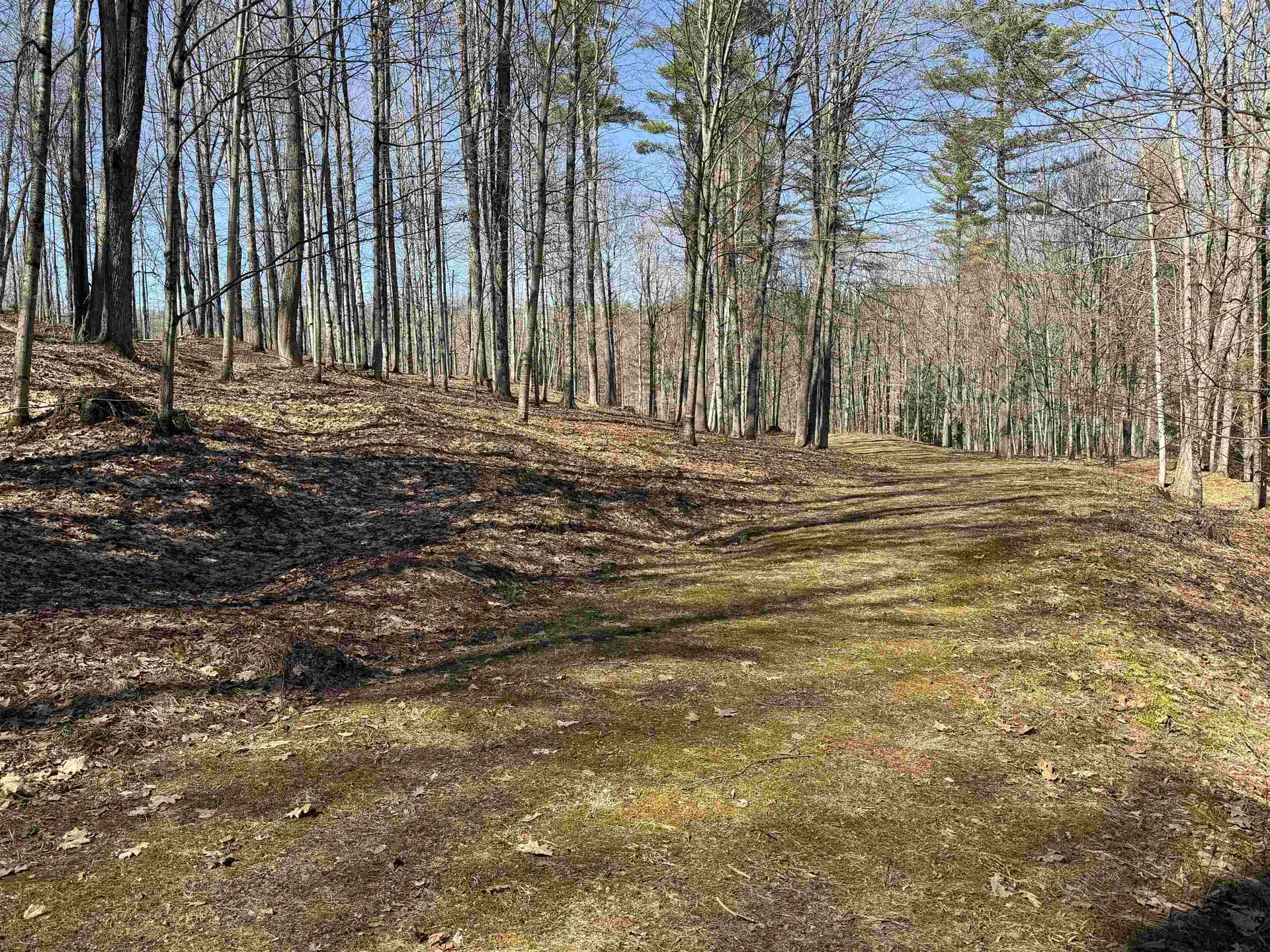 0 Oak Ridge Way Woodstock VT 05091