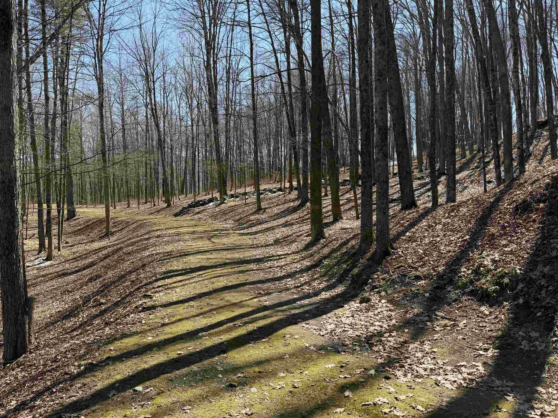 0 Oak Ridge Way Woodstock VT 05091