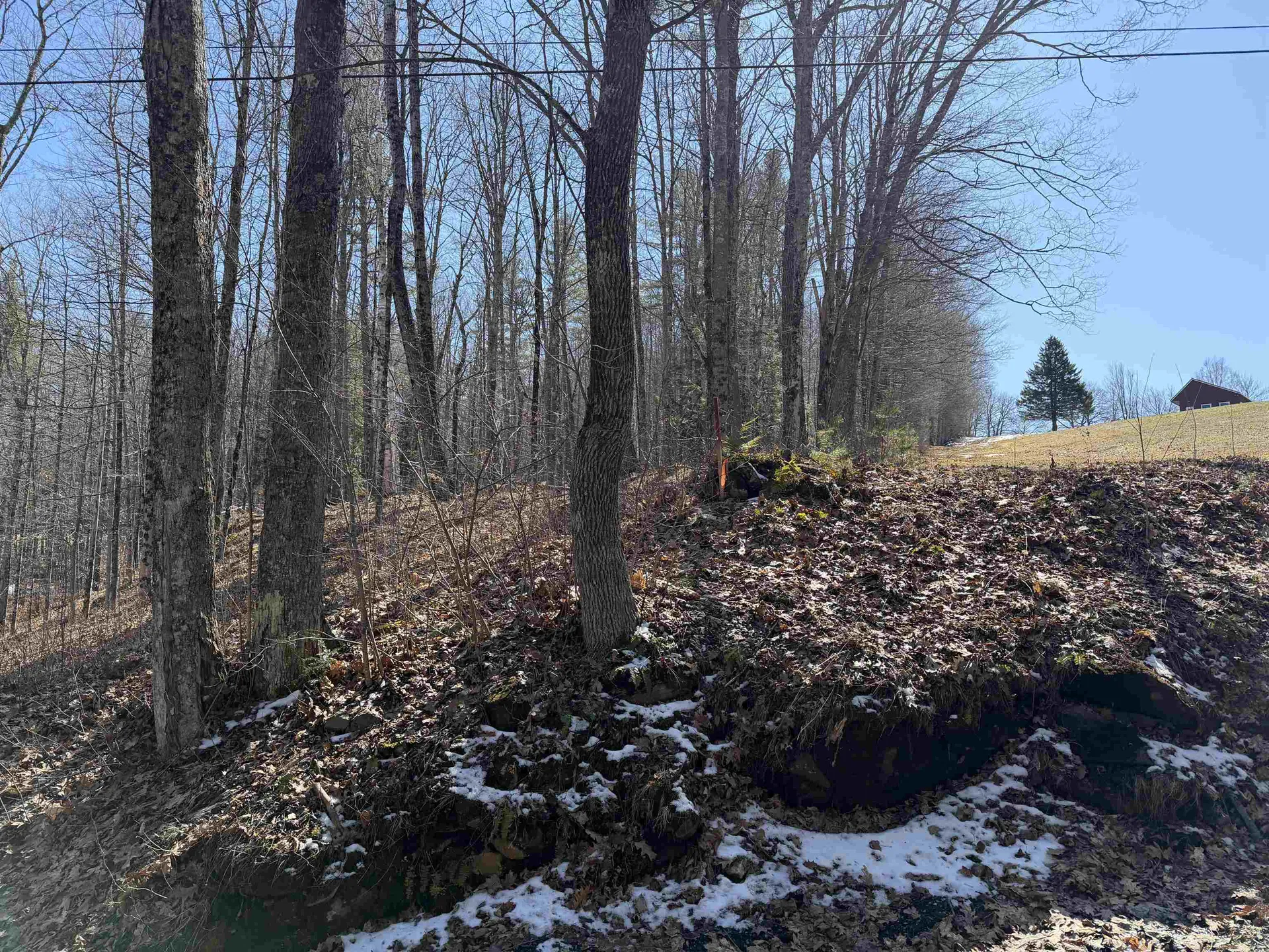 0 Oak Ridge Way Woodstock VT 05091
