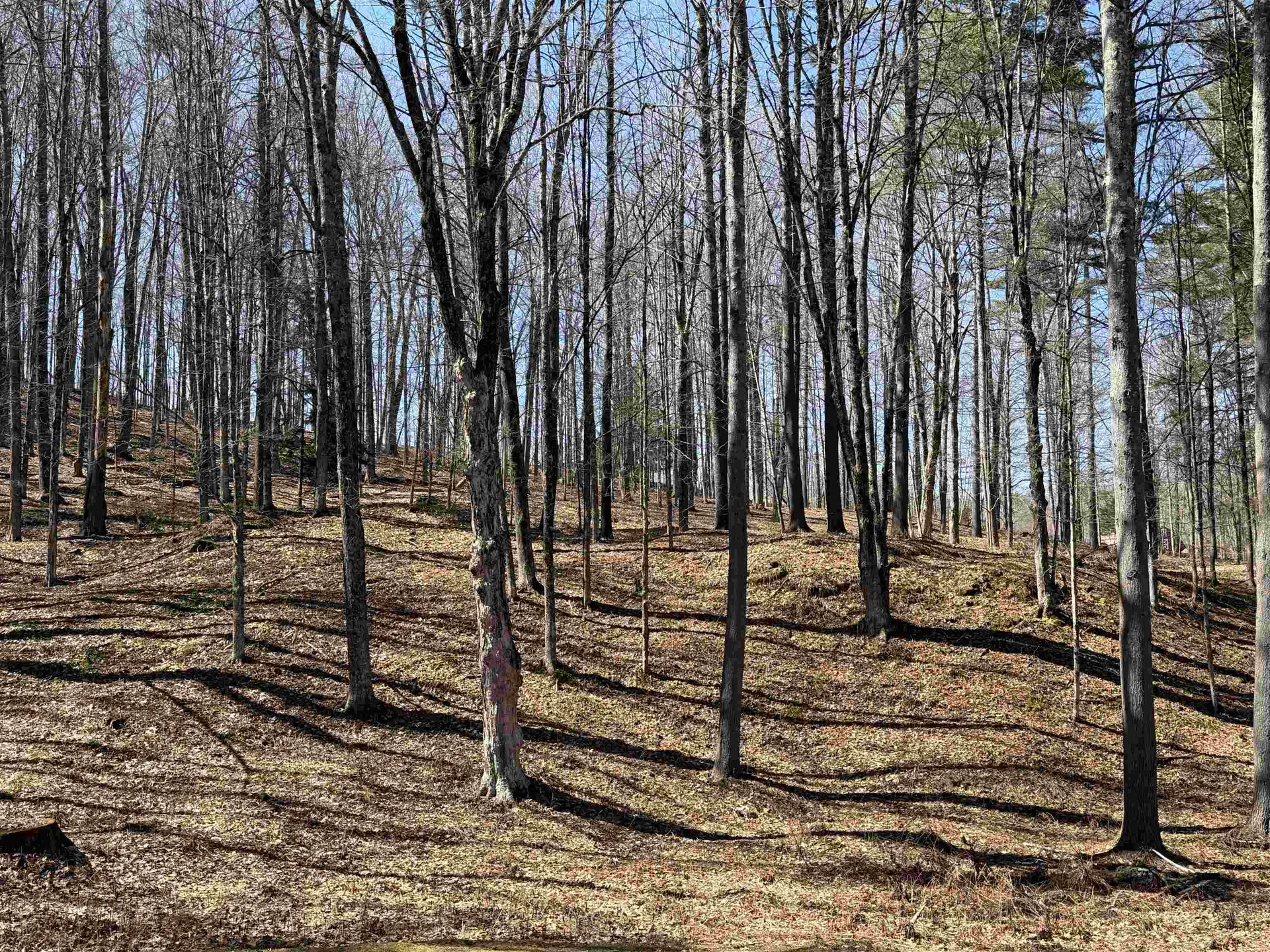 0 Oak Ridge Way Woodstock VT 05091