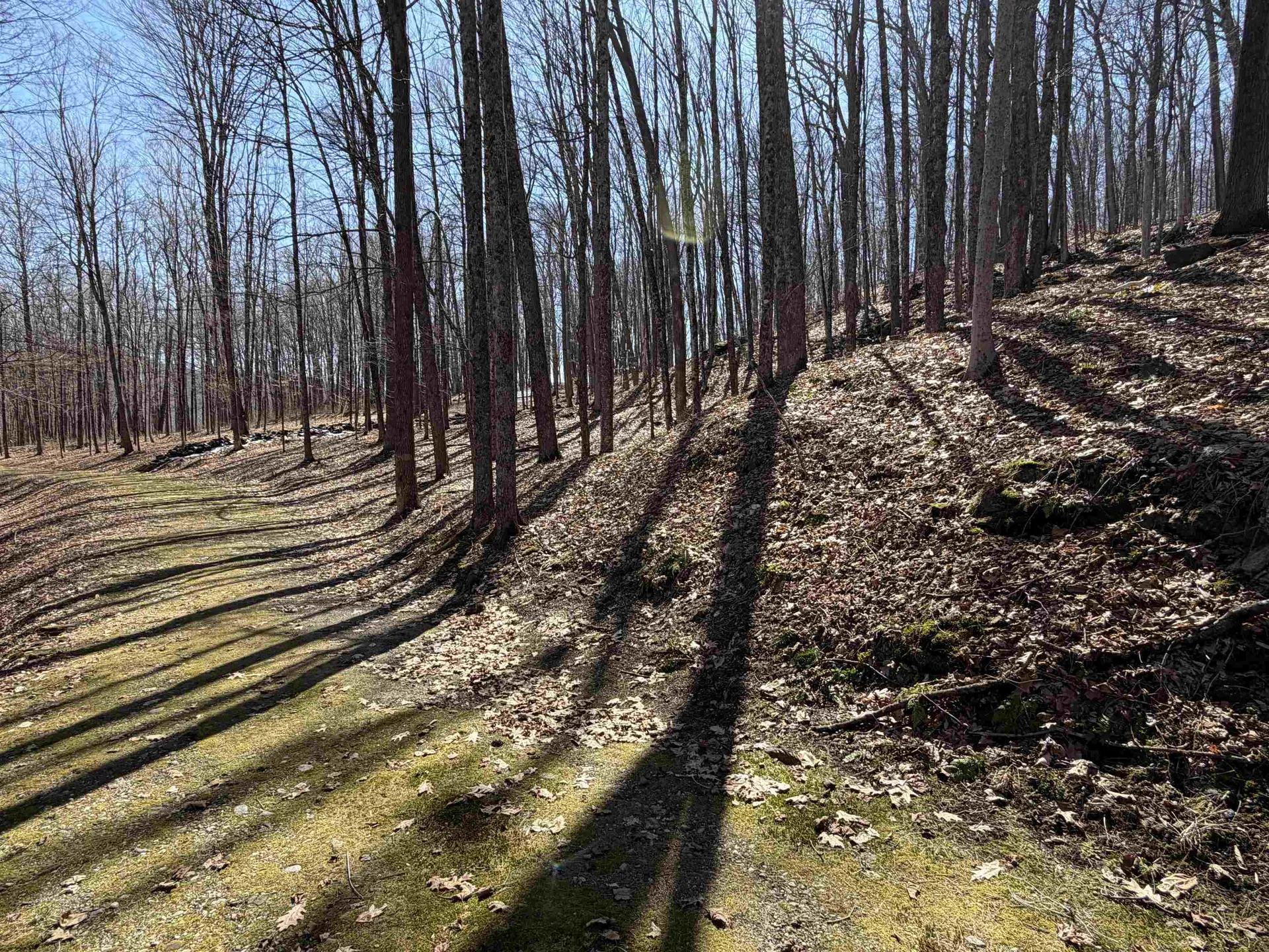 0 Oak Ridge Way Woodstock VT 05091