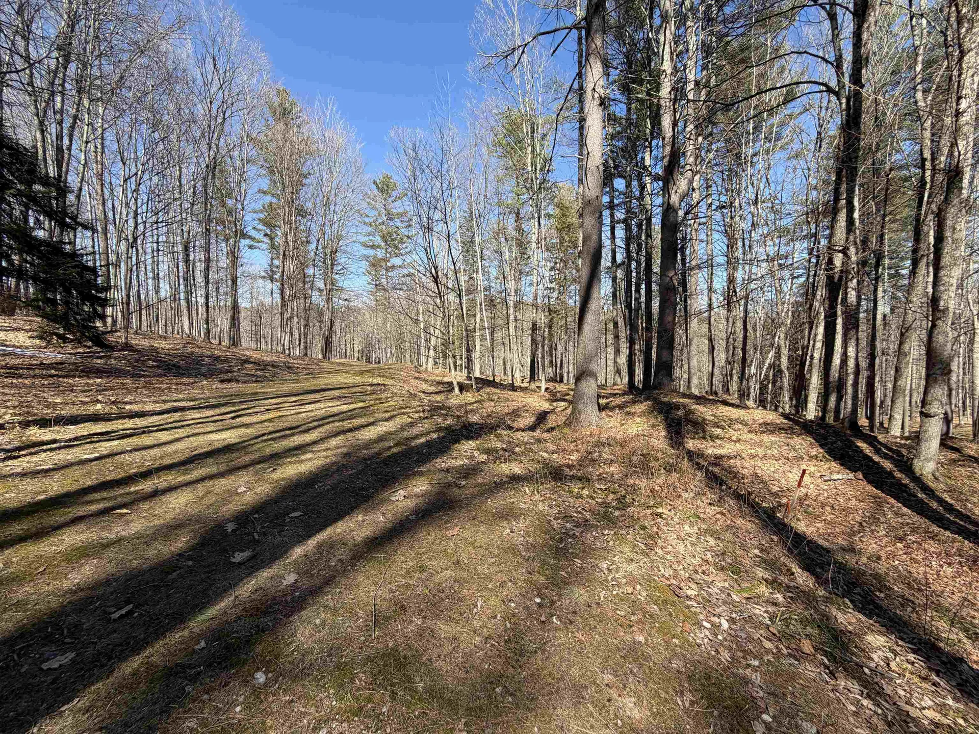 0 Oak Ridge Way Woodstock VT 05091