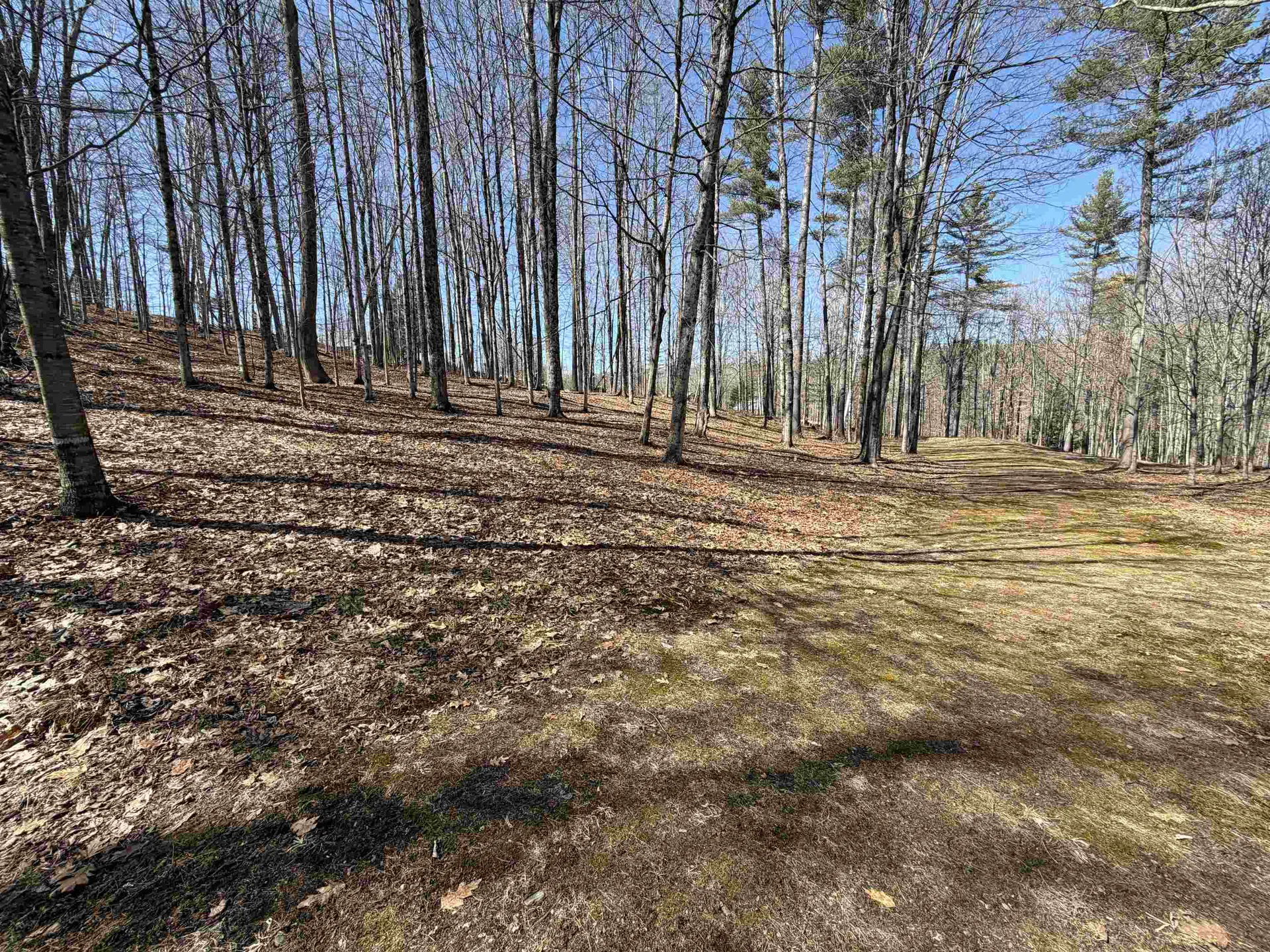 0 Oak Ridge Way Woodstock VT 05091