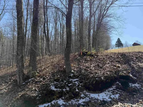 0 Oak Ridge Way Woodstock VT 05091