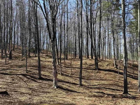 0 Oak Ridge Way Woodstock VT 05091