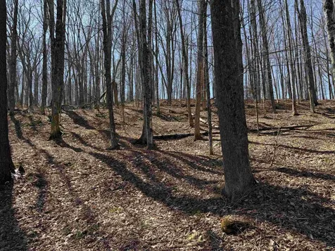 0 Oak Ridge Way Woodstock VT 05091