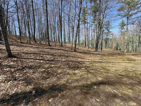 0 Oak Ridge Way Woodstock VT 05091
