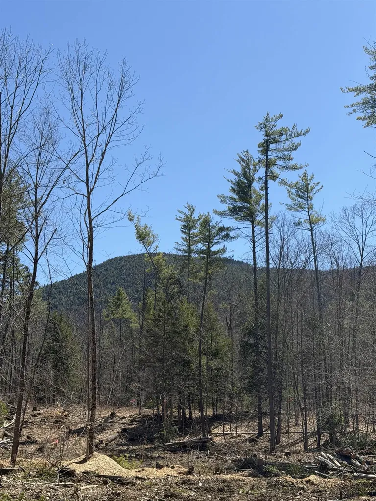 Lot 1 Whittier Road Tamworth NH 03886