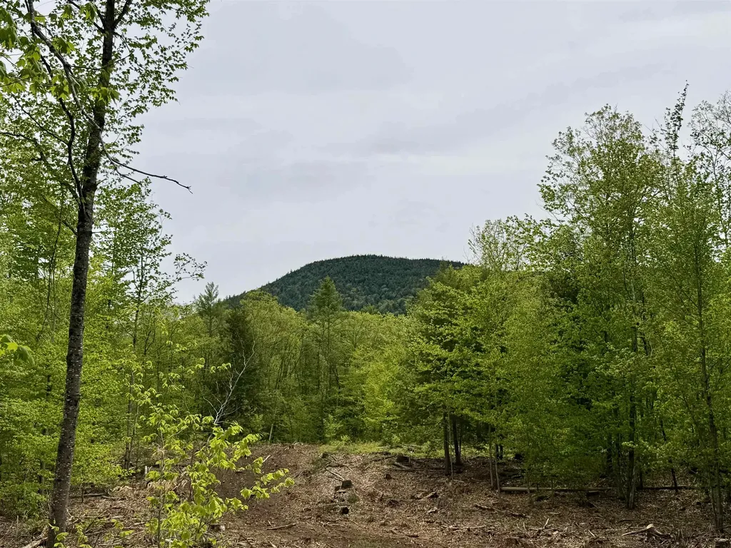 Lot 1 Whittier Road Tamworth NH 03886