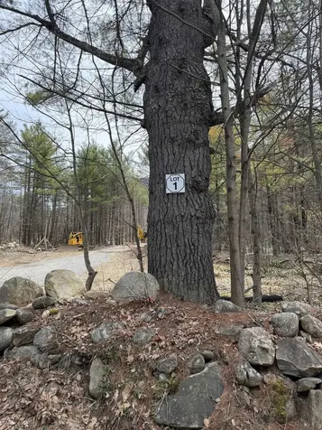 Lot 1 Whittier Road Tamworth NH 03886