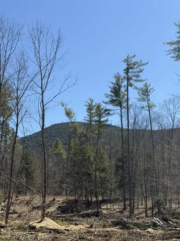 Lot 1 Whittier Road Tamworth NH 03886